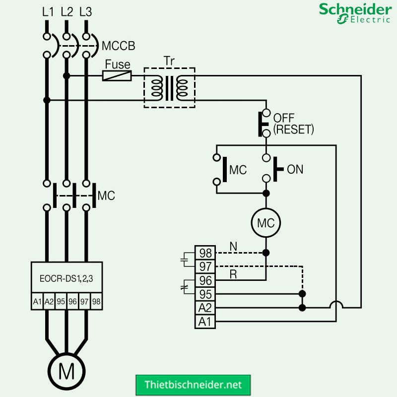 Rơ le điện tử EOCRDS3-30W
