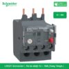 LRE21 Schneider - Rơ le nhiệt 12 – 18A Easy Tesys