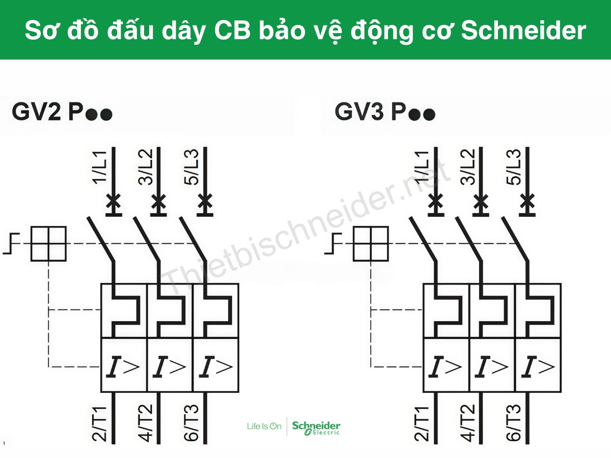 Sơ đồ đấu dây CB bảo vệ động cơ Schneider
