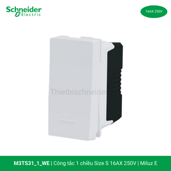 m3ts31-1-we-schneider