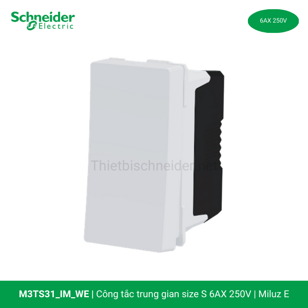 m3ts31-im-we-schneider