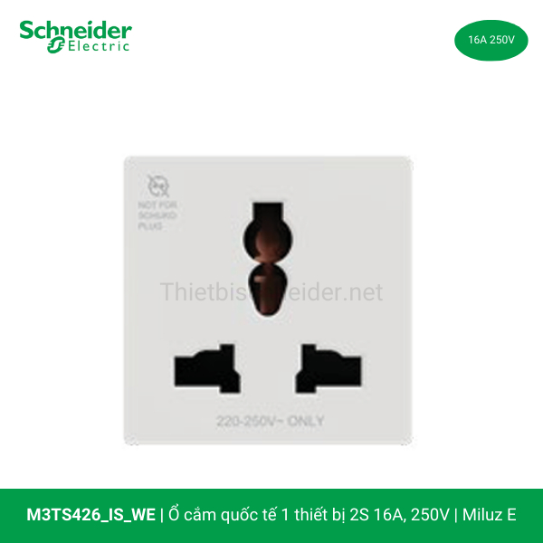 m3ts426-is-we-schneider
