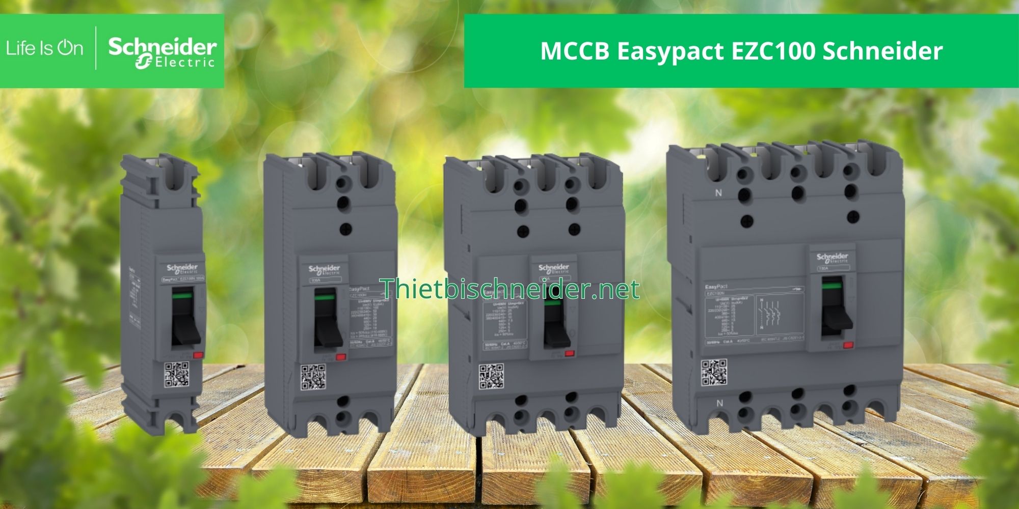 MCCB Easypact EZC100 Schneider
