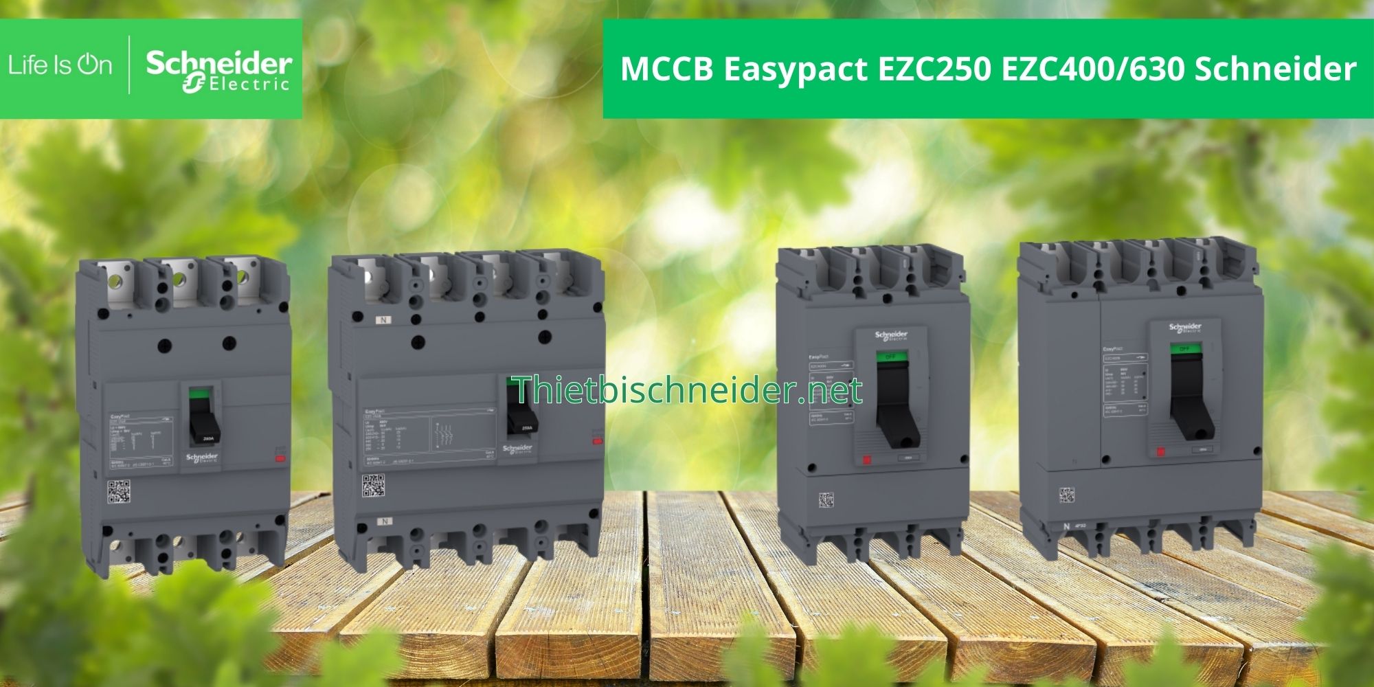 MCCB Easypact EZC400_630 Schneider