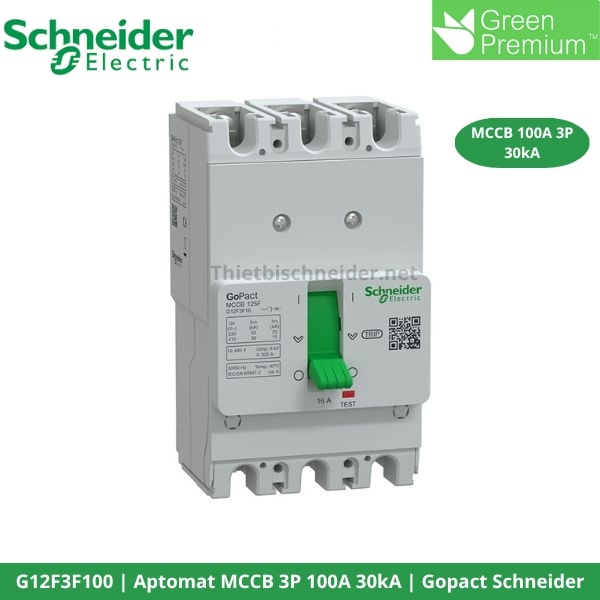 aptomat-schneider-g12f3f100-3p-100a-30ka-co-dinh