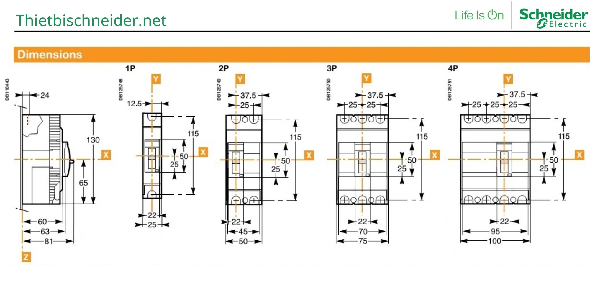 kích thước MCCB Easypact EZC100 Schneider